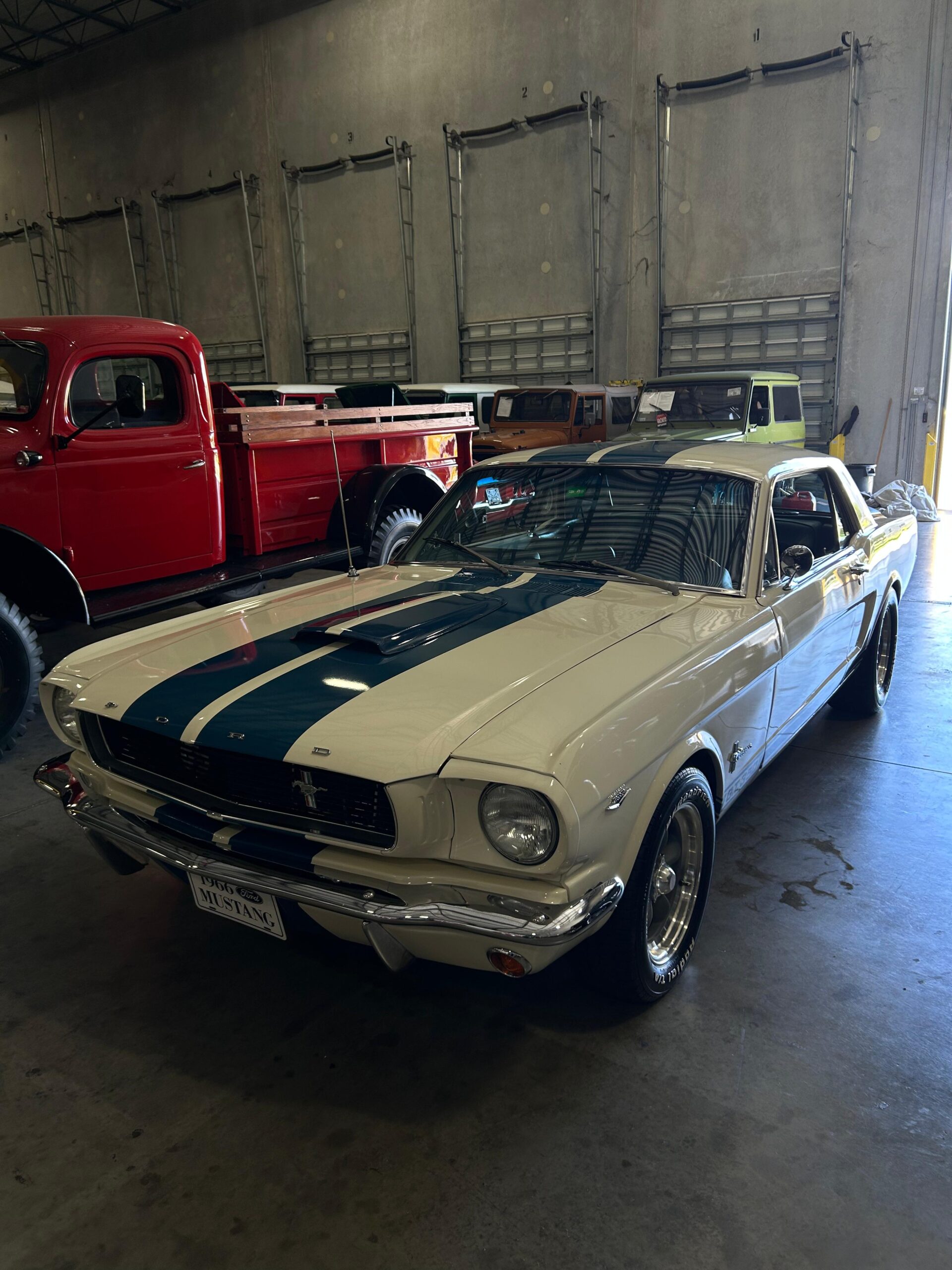 IMG-20250617-WA0130